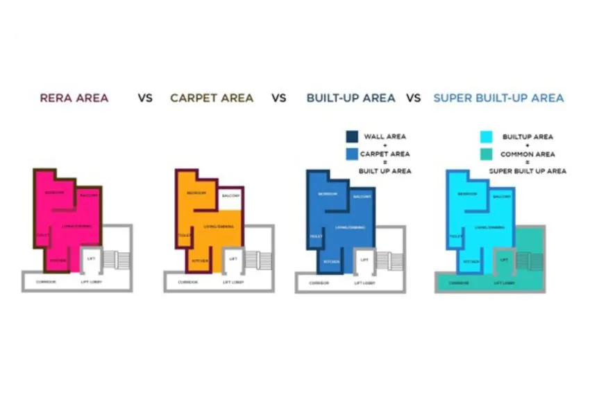 Carpet Area 