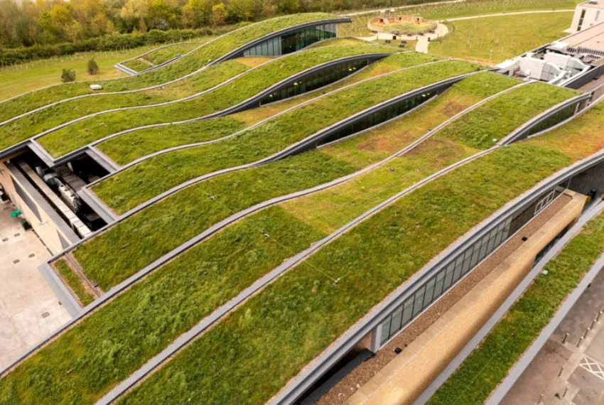 Roof Insulation and Sustainable Architecture