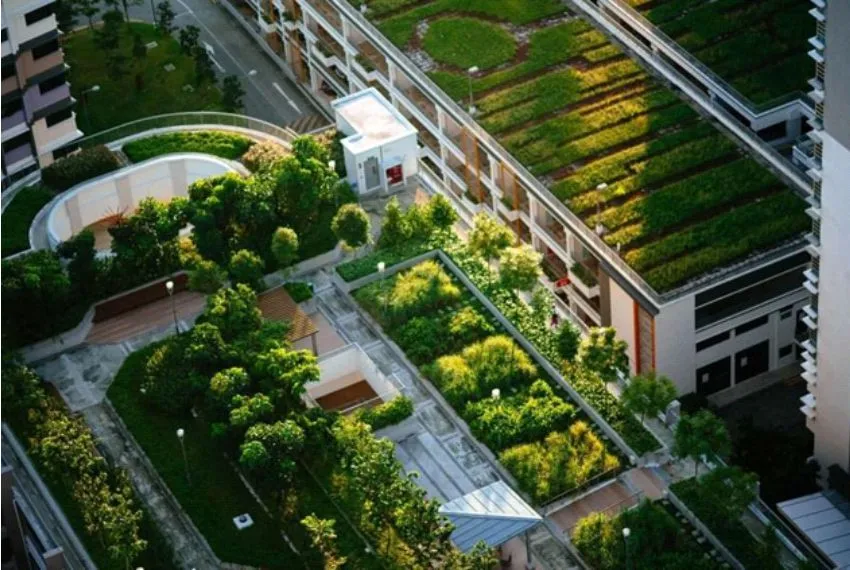 The Future of Roof Insulation