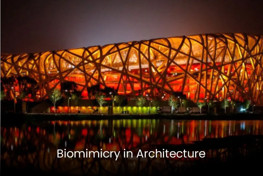 Biomimicry in Architecture
