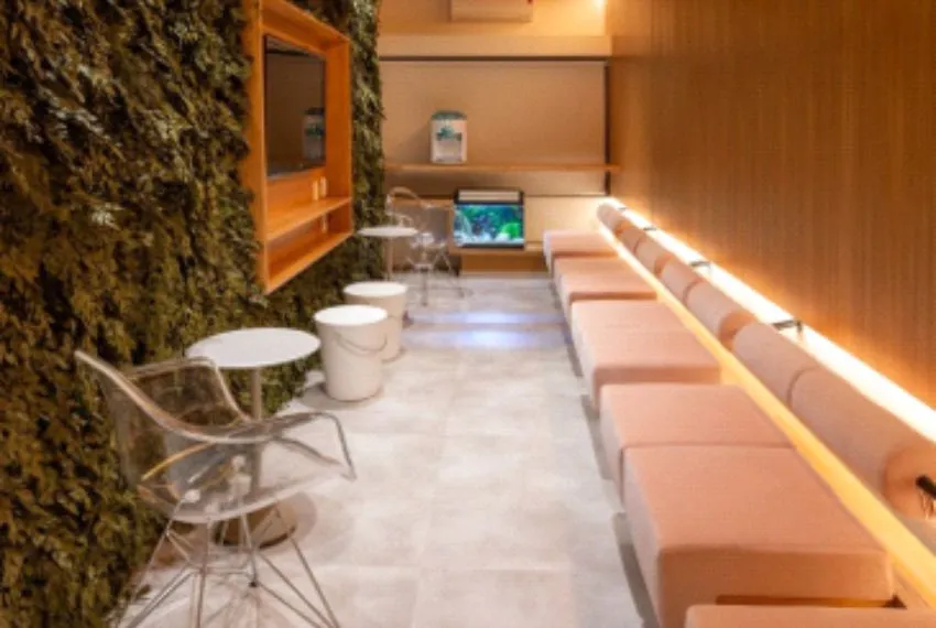  Wellness-Centered Interior Architecture 